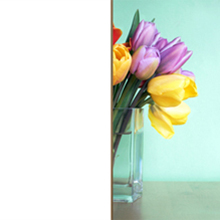 Decorative BWOut WhiteOut