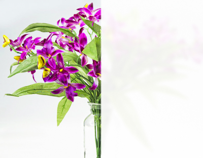 white light diff user LC