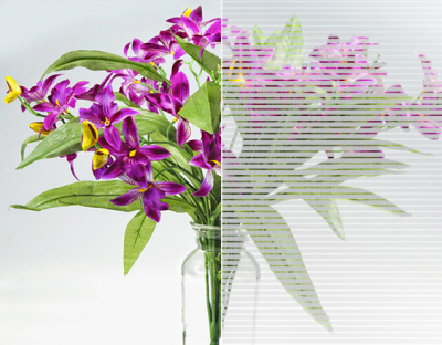 grey pinstripes-flower LC