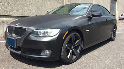 SW 900 Black Carbon Fiber 194