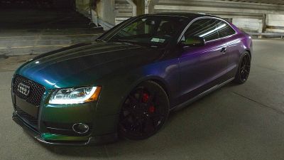 SW 900 Gloss Urban Jungle Silver Green 787S