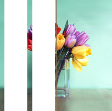 Decorative Blind BlindPlus