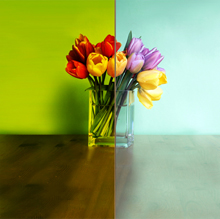 Decorative ColorArt Yellow