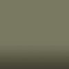 SW 900 Matte Khaki Green 711